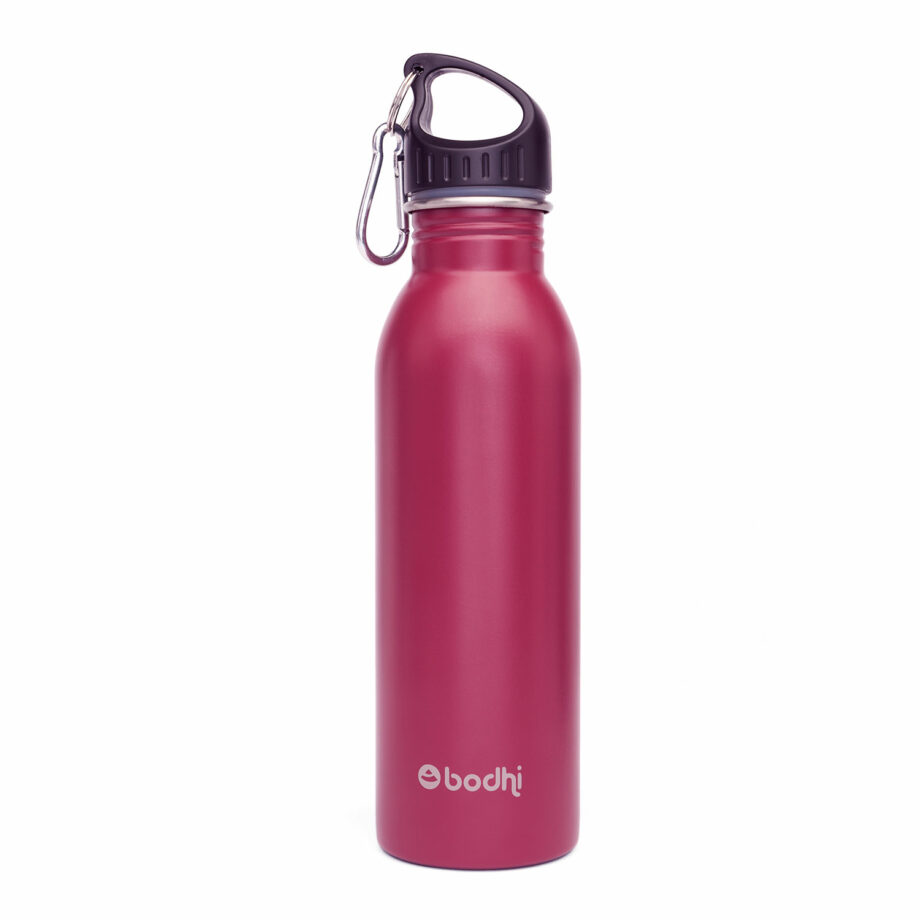 bouteille isotherme inox berry