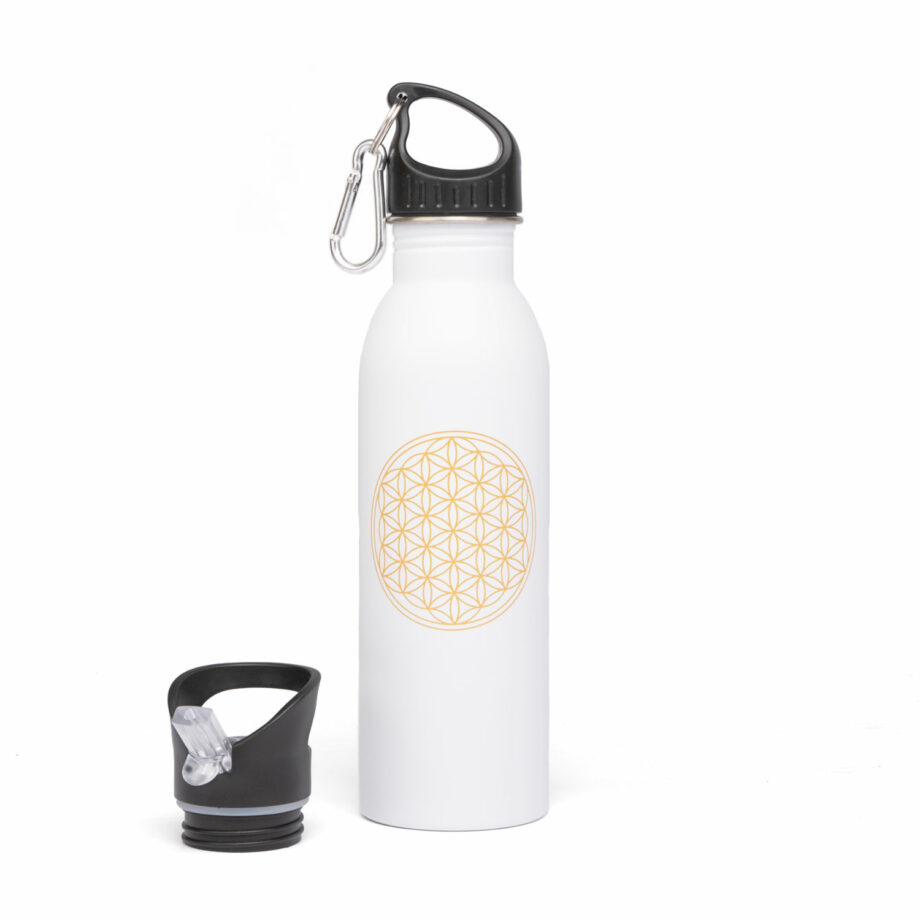 bouteille isotherme inox blanc
