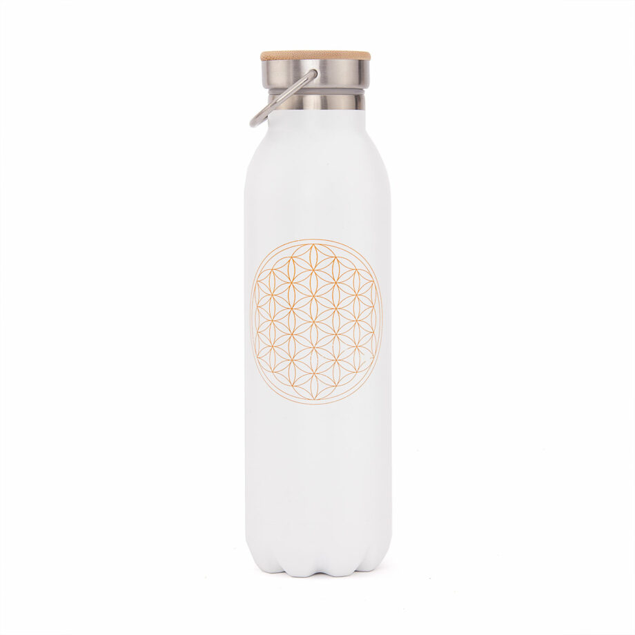 bouteille isotherme inox 600 ml blanc