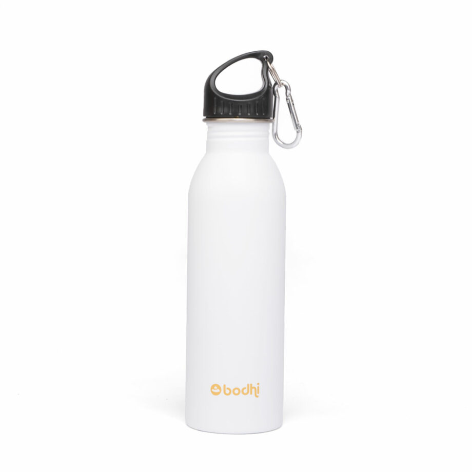 bouteille isotherme inox blanc