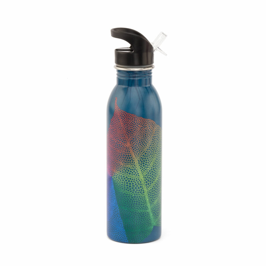 bouteille isotherme inox coloree 700 ml